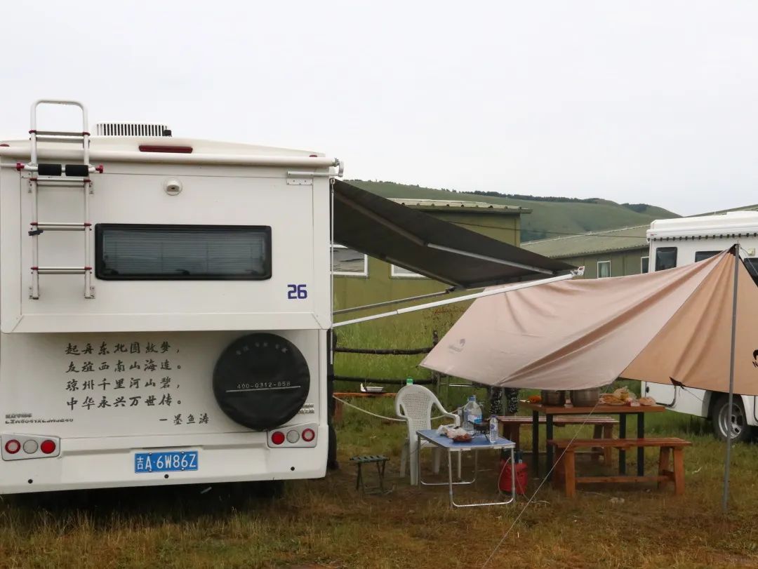 來福，以精致矗立在野性之中