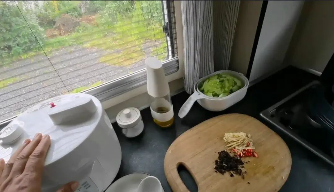 58歲的她，自駕房車旅居，一人兩犬，活成了自己喜歡的樣子